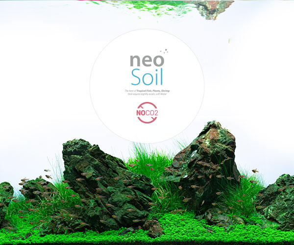 neo no co2 Soil