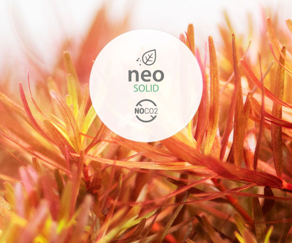 neo outlet