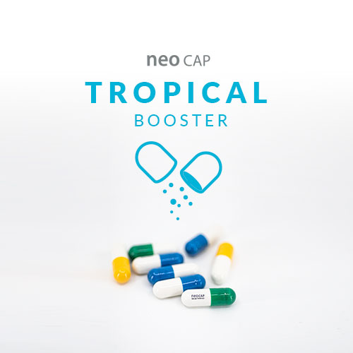 neo Cap Booster Tropical