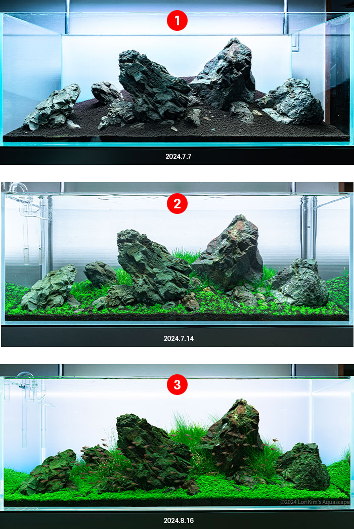 NEO Soil No co2