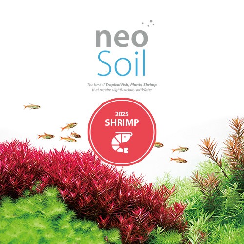 Neo Soil Shrimp thumbnail