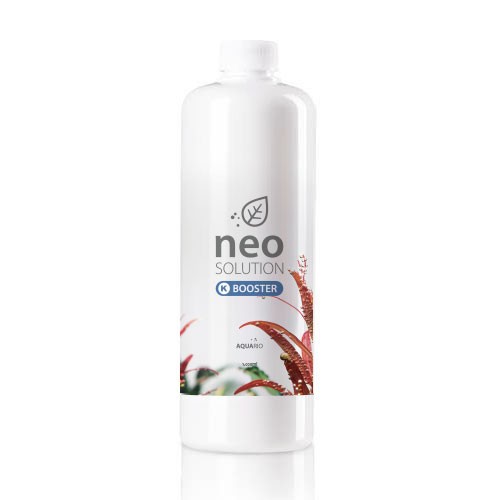 Neo Solution thumbnail