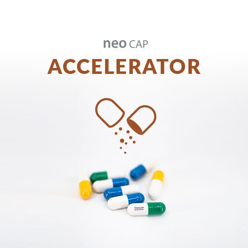 NeoCap Accelerator thumbnail