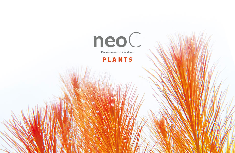NEO C