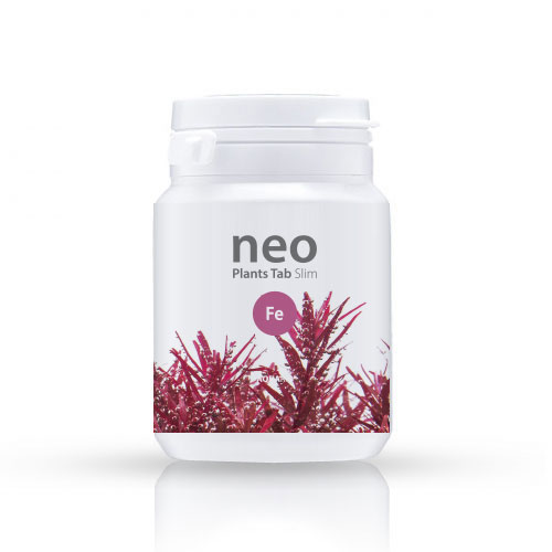 neo Flow