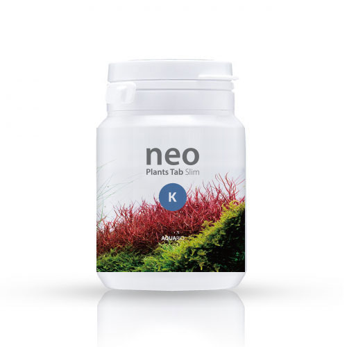 neo Flow