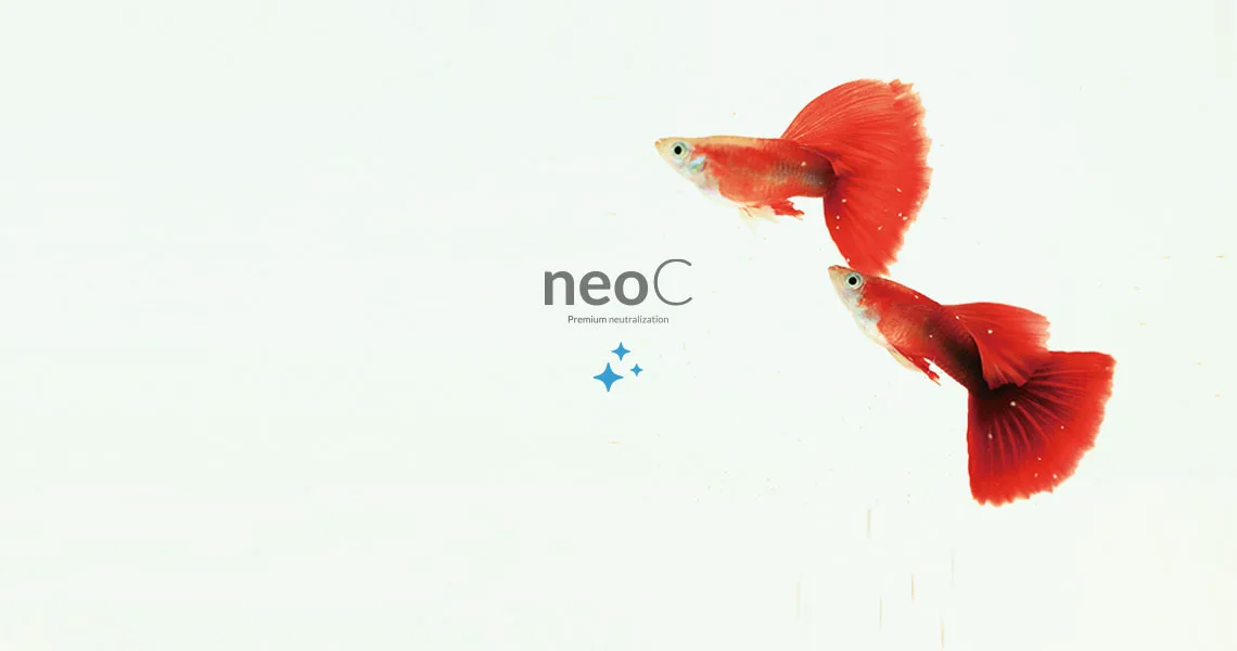 Neo C