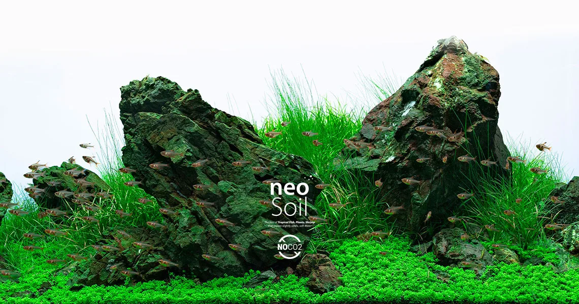 Neo (No CO2) Soil