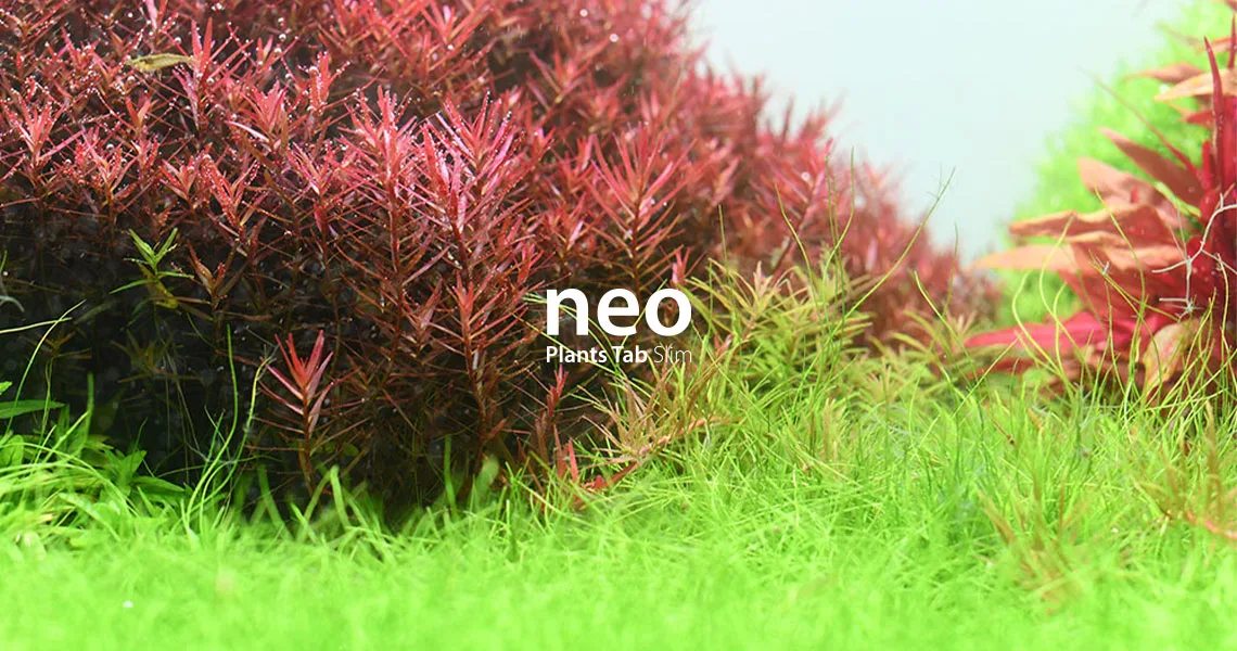Neo Plants Tab Slim