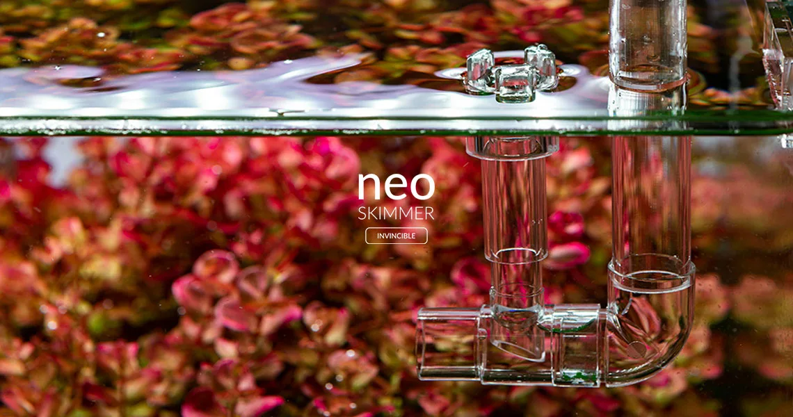 Neo Skimmer