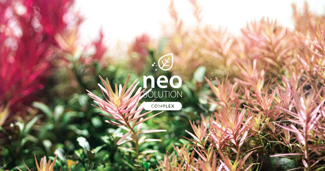 Neo Solution Complex
