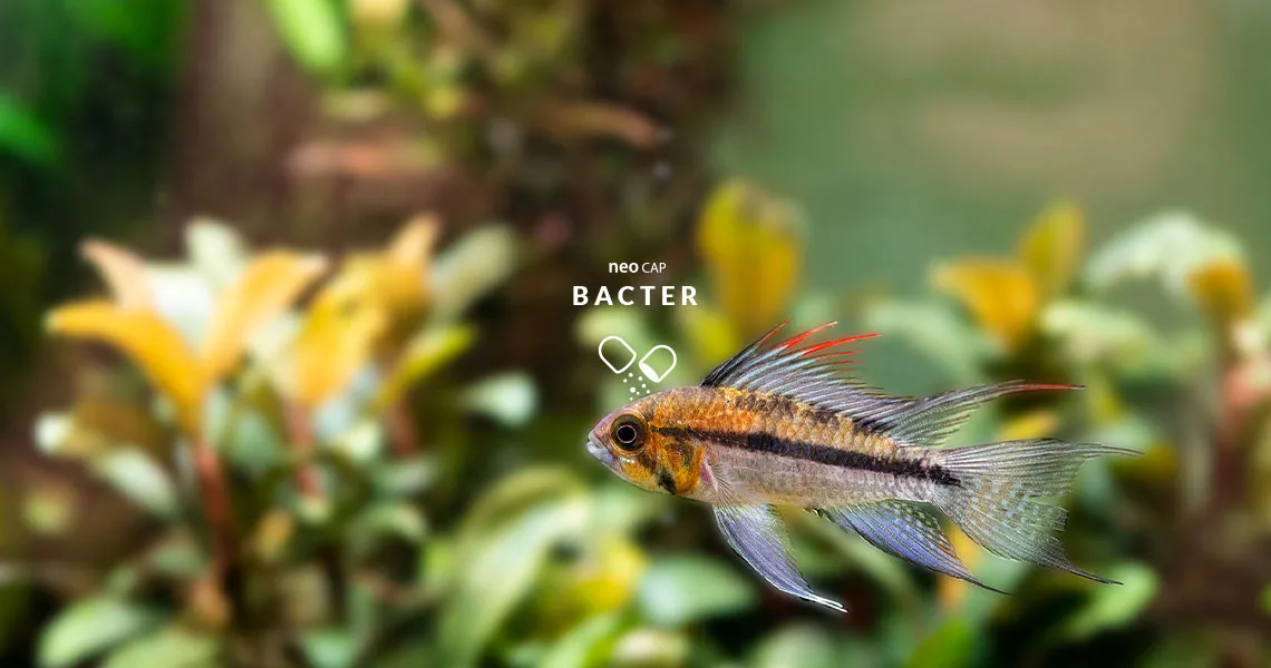 NeoCap Bacter