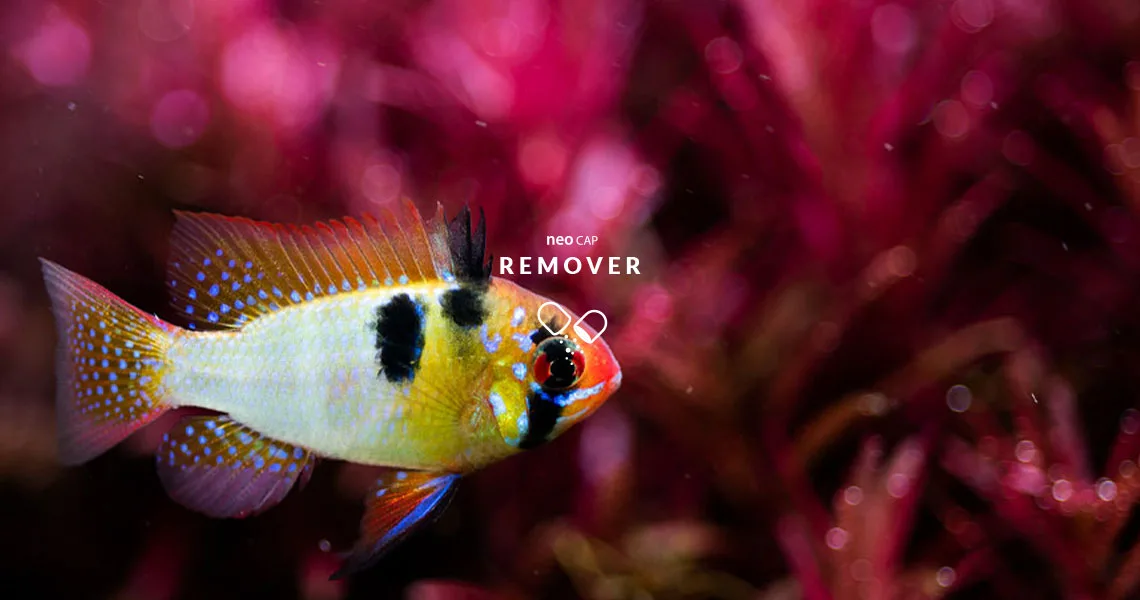 NeoCap Remover